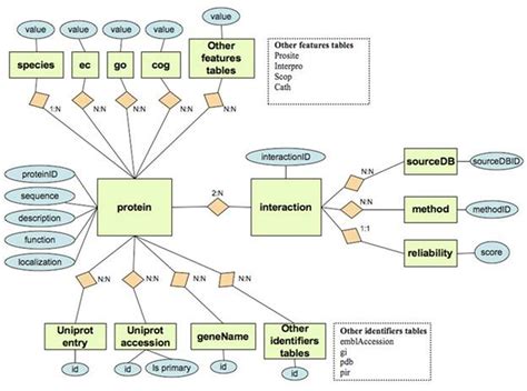 Relational database design. Things To Know About Relational database design. 